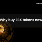 Why buy EBX tokens now